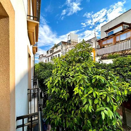 San Fernando De La Ribera Διαμέρισμα Κόρδοβα Εξωτερικό φωτογραφία