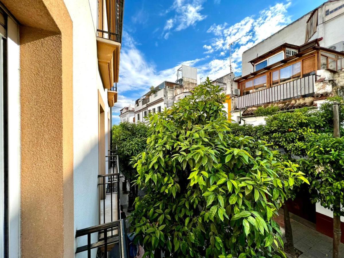 San Fernando De La Ribera Διαμέρισμα Κόρδοβα Εξωτερικό φωτογραφία